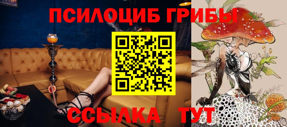 Малгобек  Галлюциногенные грибы мицелий  Вход с VPN 